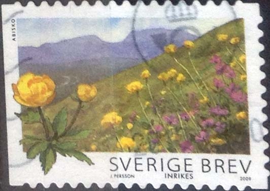 Scott#2619a , intercambio 1,50 usd. Brev. 2009