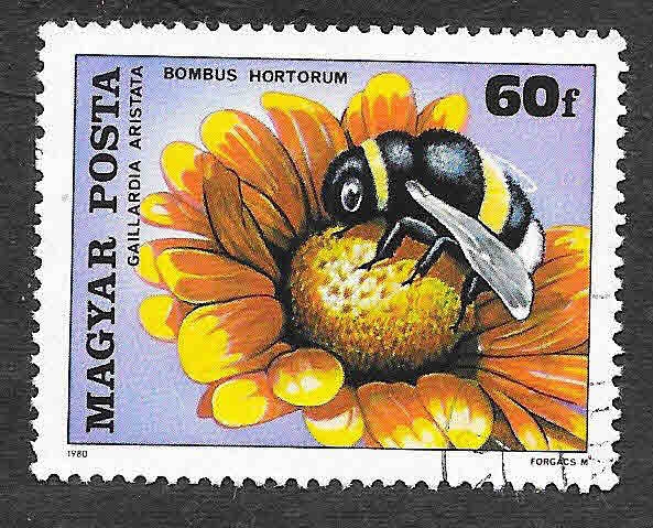 2626 -  Insectos Polinizando Flores