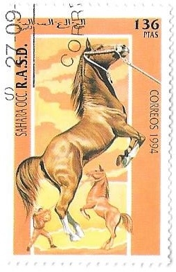 caballos