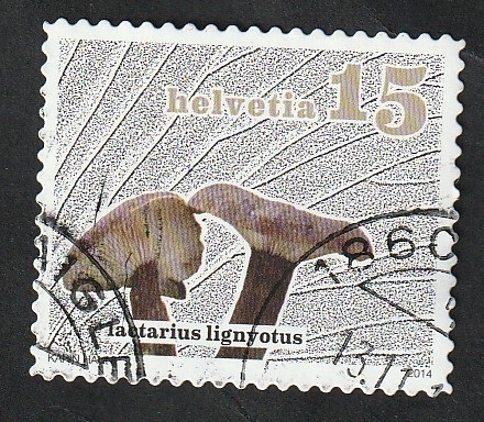 2265 - Champiñón, lactarius lignyotus