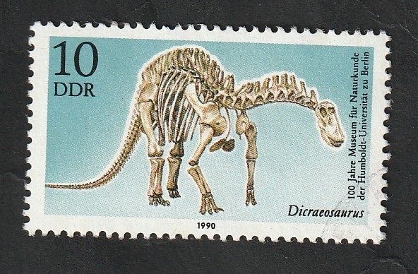 2924 - Dicraeosaurus