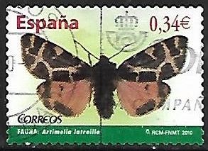 Mariposas - Latreille's Pellicle
