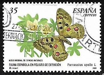 Mariposas - Parnassius apollo