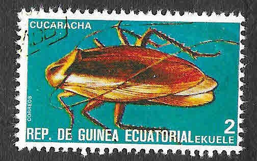 Yt115P - Cucaracha