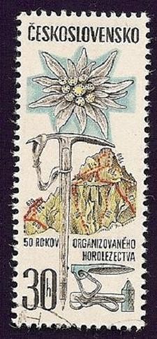 50 años Organización escalada Alpina - flor edelweiss
