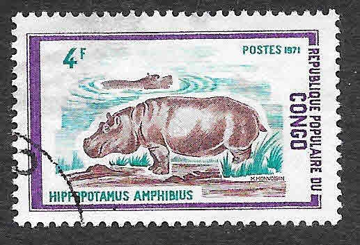271 - Hipopótamos