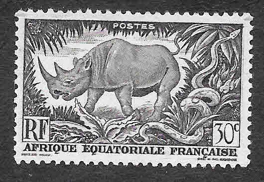 167 - Rinoceronte Negro y Pitón de Roca (ÁFRICA ECUATORIAL FRANCESA)