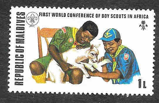 427 - I Conferencia Mundial de Boy Scout en África