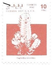 flora