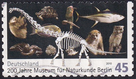 museo historia natural