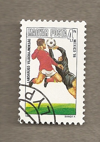 Campeonato  Futbol Méjico 1986
