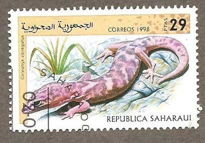 SC0