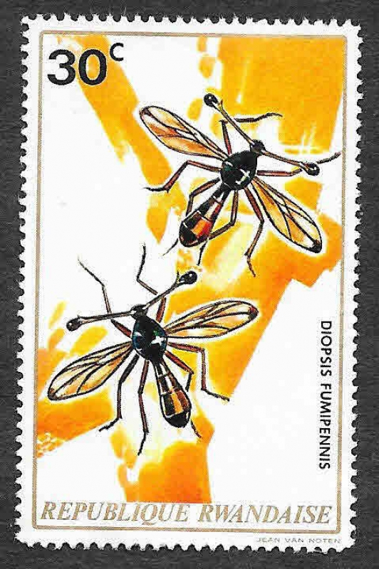 496 - Insectos