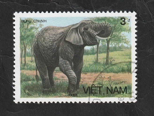 776 - Elefante de Asia
