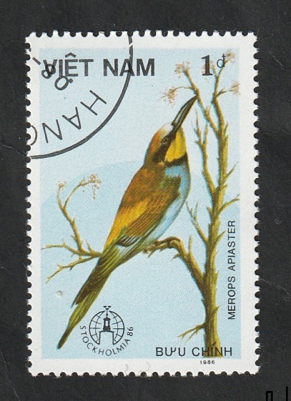 708 - Pájaro