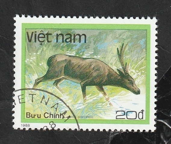 879 - Animal proteguido
