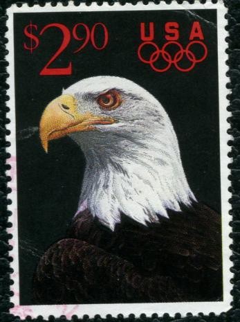 Aguila Calva Olimpiada