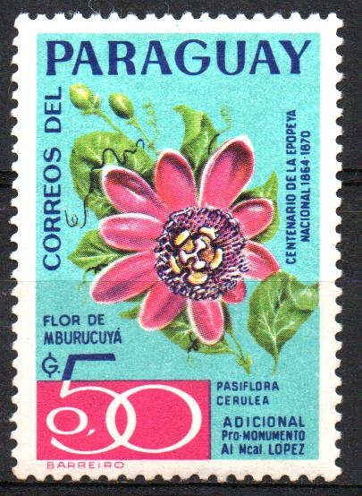 FLOR  DE  MBURUCUYÁ