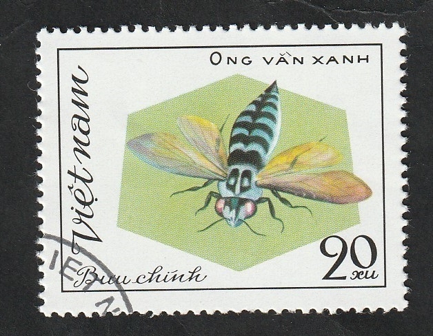 315 - Insecto himenóptero