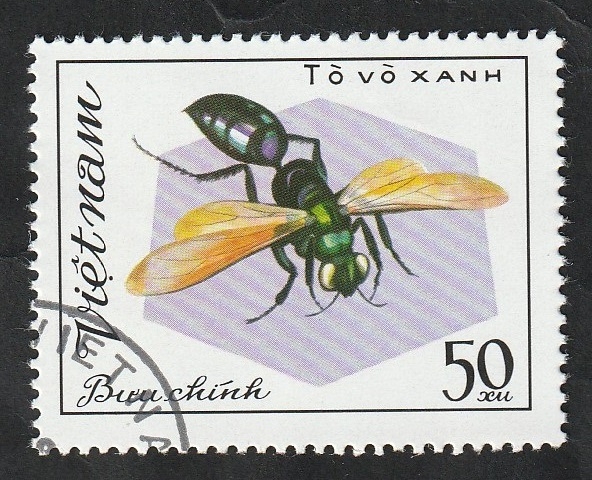 319 - Insecto himenóptero