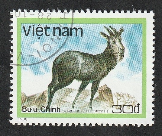 880 - Animal proteguido