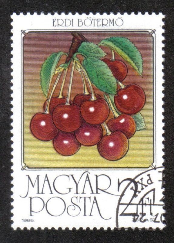 Frutas, Cerezas