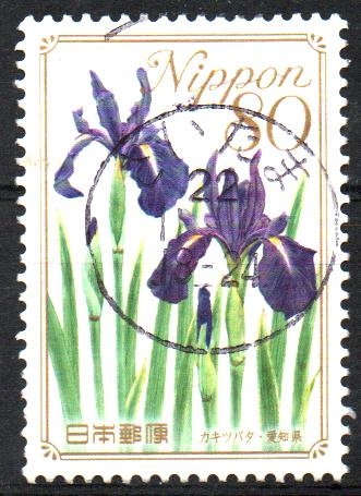 IRIS  JAPONESA