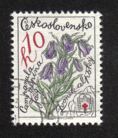 Protección de la naturaleza, Campanula alpina