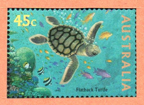 VIDA  MARINA.  TORTUGA  PLANA.