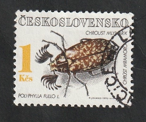 2920 - Insecto polyphylla fullo