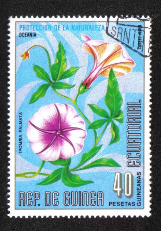 Flowers (II) Oceania