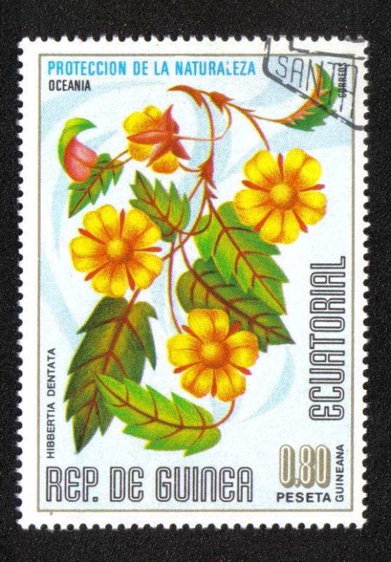 Flowers (II) Oceania