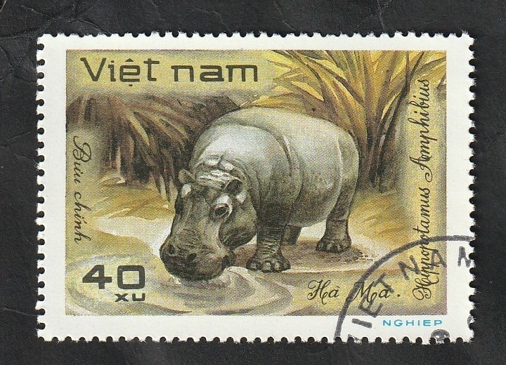309 - Animal salvaje, hipopótamo