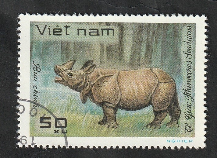 311 - Animal salvaje, rinoceronte