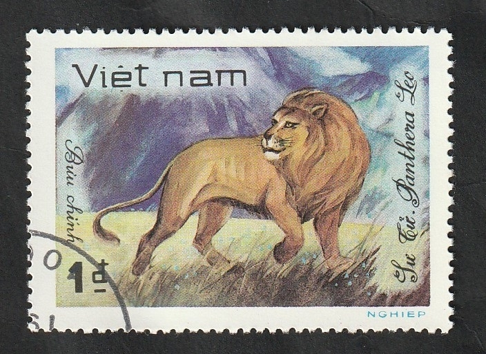 314 - Animal salvaje, león