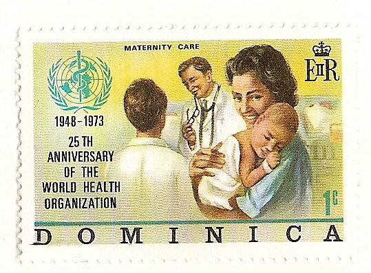 Organizacion Mundial de la Salud. Maternidad, cuidados infantiles.