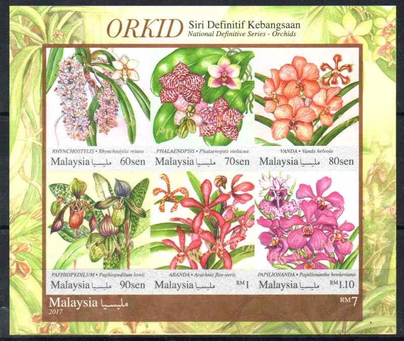 ORQUÍDEAS  DE  MALASIA