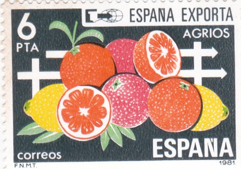 ESPAÑA EXPORTA (42)