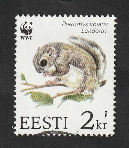 242 - Fauna, pteromys volans