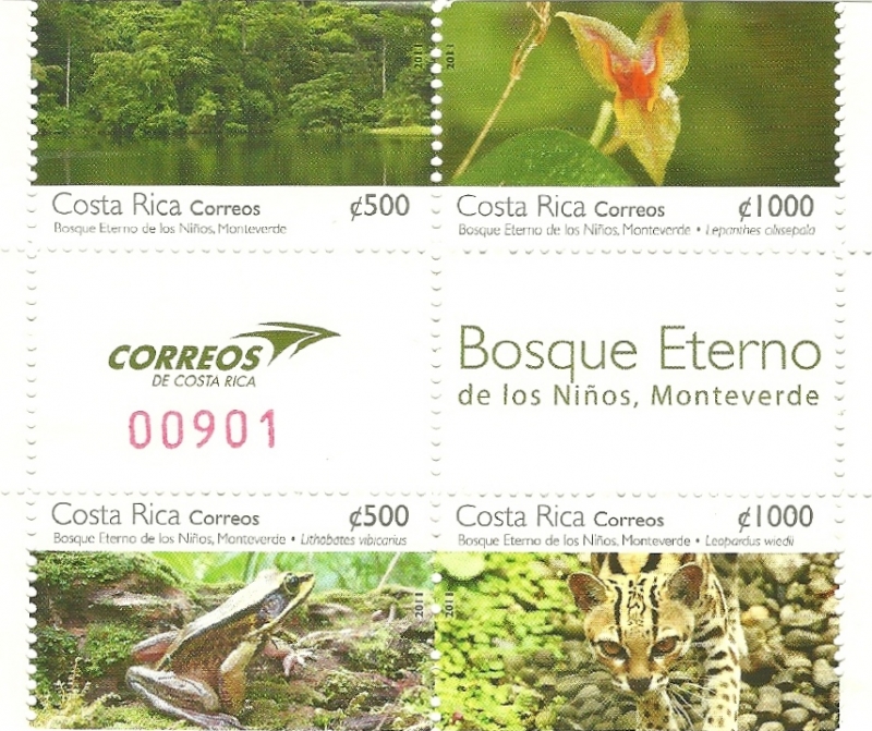 1781-1784  Bosque eterno de los niños  Monteverde (2011)