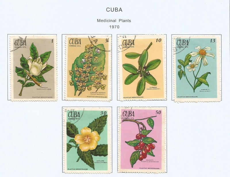 1566-1571 Medicinal Plants (1970)