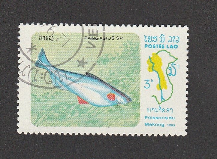 Pescados del Mwkong