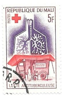 cruz roja