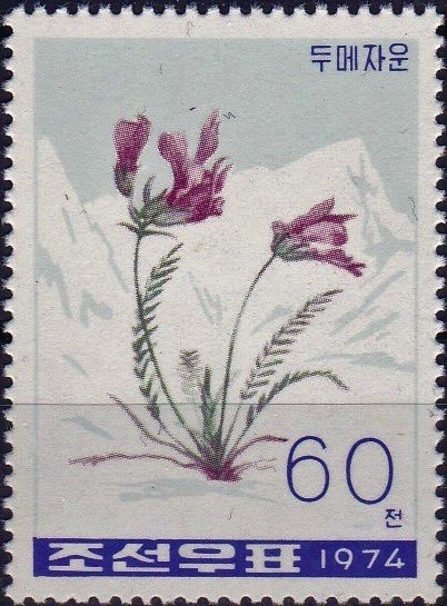 Plantas Alpinas