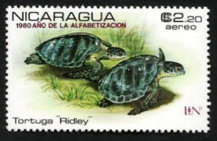 Protected Sea Turtles
