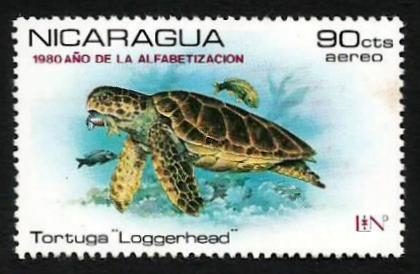 Protected Sea Turtles