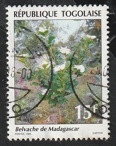 1342 - Flora, Planta Belvache de Madagascar