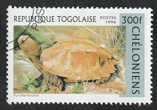 1519 - Tortuga