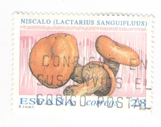 Edifil 3247.Niscalo ( Intercambio)