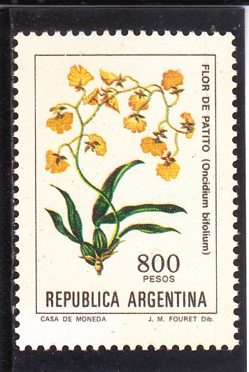 FLORES- FLOR DEL PATITO